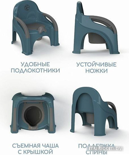 Детский горшок Amarobaby Baby chair AB221105BCh/18 (бирюзовый)