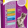 Корм для кошек Whiskas Аппетитное ассорти с курицей, уткой и индейкой 0.35 кг