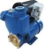 Насосная станция Oasis MST 33/31С-2