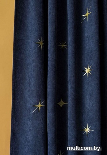 Комплект штор Pasionaria Бэлли 290x230 (2 шт, синий)