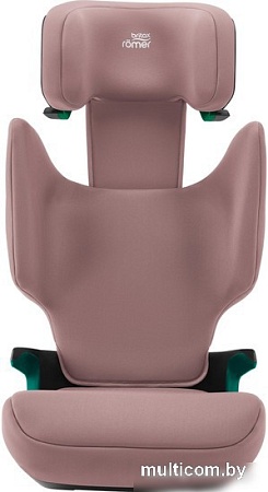 Детское автокресло Britax Romer Discovery Plus 2 (dusty rose)