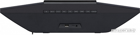 Микро-система Pioneer X-SMC02-B
