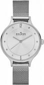 Наручные часы Skagen SKW2149