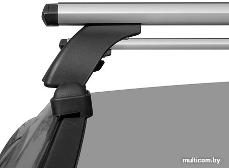 Поперечины LUX Трэвел 82 847896 (серебристый)