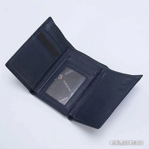 Кошелек Poshete 827-VN80036M-BLU (синий)