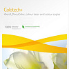 Офисная бумага Xerox Colotech Plus SRA3 (250 г/м2) (003R98977)