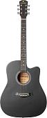 Акустическая гитара ROKSO FT-221-BK