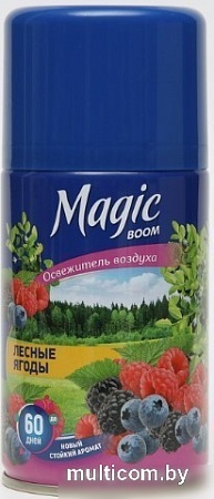 Сменный блок для освежителя воздуха Magic Boom Лесные ягоды (250 мл)