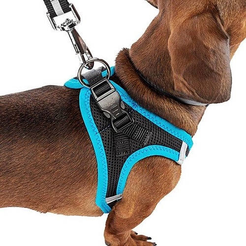 Шлейка Ferplast Kaori P 75469072 (XL, черный/синий)