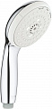 Душевая лейка Grohe New Tempesta 100 28261002