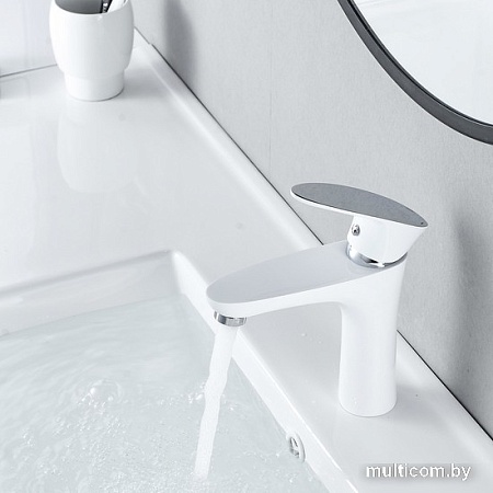 Смеситель Shevanik S9801F