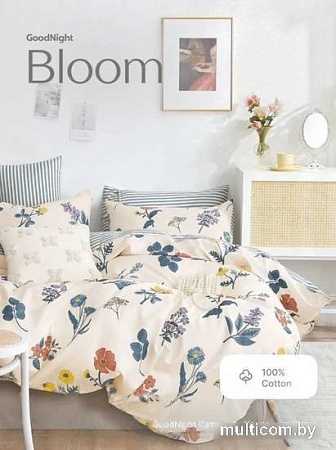 Постельное белье GoodNight Сатин Делюкс E040 Евро E040ev (50x70, с компаньоном)