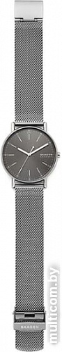 Наручные часы Skagen SKW6577