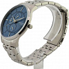 Наручные часы Pierre Cardin PC902731F06