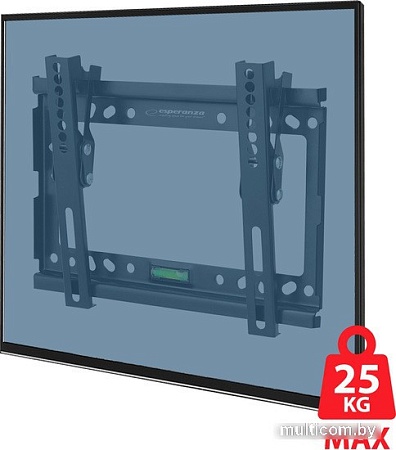 Кронштейн Esperanza ERW010