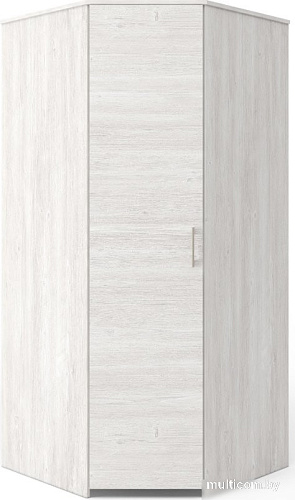 Шкаф распашной MyStar 1Д ИВ-100.1842-3.00 (дуб онтарио)