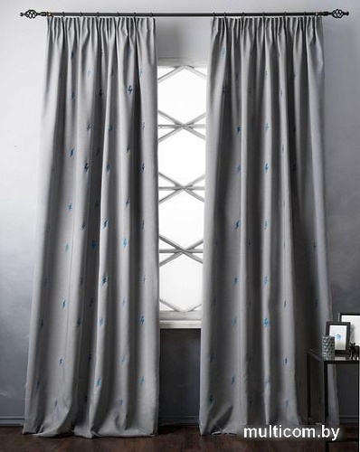 Комплект штор Pasionaria Флэш 290x250 с подхватами (серый)