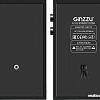 Акустика Ginzzu GM-101