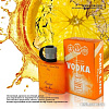 Paris Line Vodka Orange EdT 100 мл