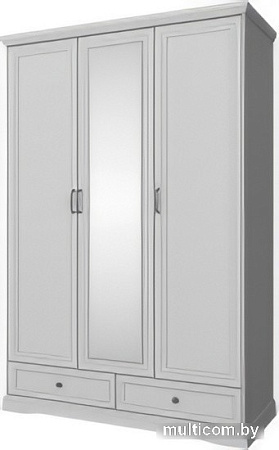 Шкаф распашной Anrex Valencia 3DG2SZ (серый)