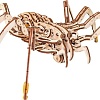 Сборная модель Eco-Wood-Art Паук
