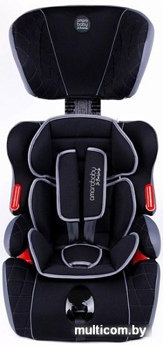 Детское автокресло Amarobaby Big trip AB212006BTChS/09 (черный/серый)