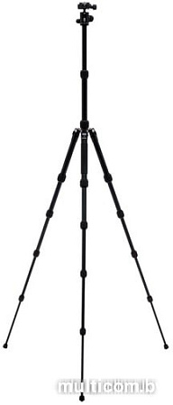 Трипод Benro FTR09AB00GBLK