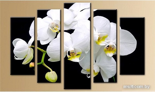 Модульная картина Arthata 5m-107 160x90