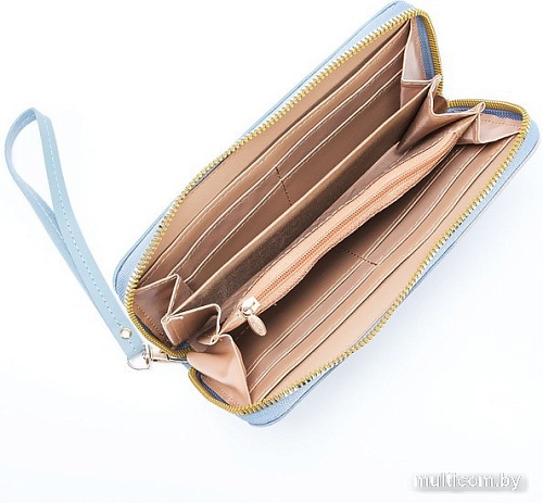 Кошелек Passo Avanti 519-560-BLU (голубой)