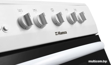 Кухонная плита Hansa FCGW51054