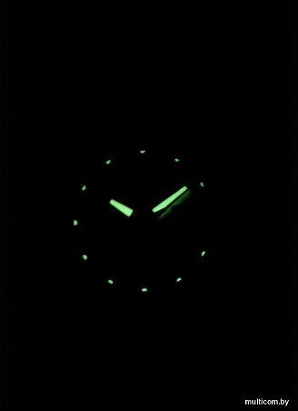 Наручные часы Seiko SYMA04K1