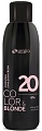 Sergio Professional Color&Blonde 20Vol 6% 1 л