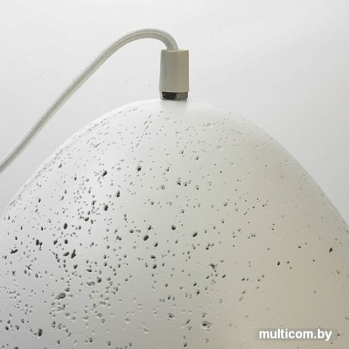 Лампа Lussole LOFT GRLSP-9891