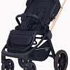 Универсальная коляска Rant MOWbaby Zoom PU (2 в 1, gold black)