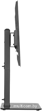 Кронштейн MAUNFELD MTS-3770L