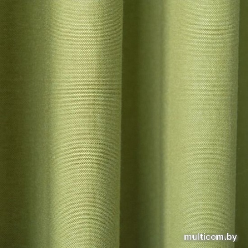 Комплект штор Pasionaria Билли 340x250 с подхватами (травяной)