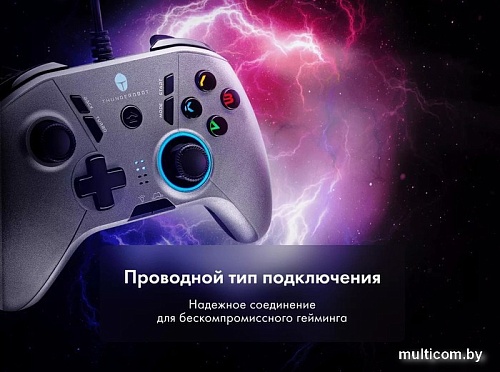 Геймпад Thunderobot G30 Shadow Steel