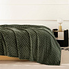 Karven Фланель Евро PL014 JACQAURD v3/Green