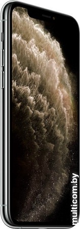 Смартфон Apple iPhone 11 Pro Max 512GB Dual SIM (серебристый)