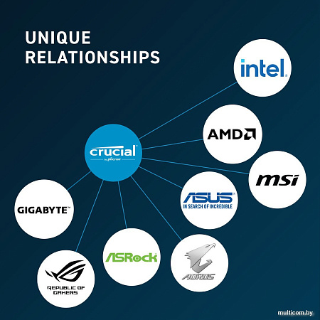 Оперативная память Crucial 16ГБ DDR5 4800 МГц CB16GU4800