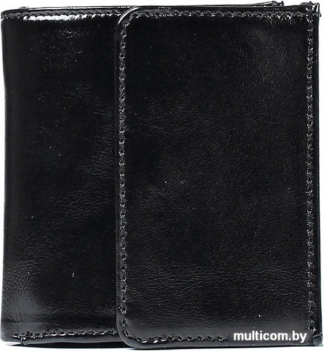 Кошелек Galanteya 35018 (черный)