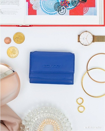 Портмоне Cedar Rovicky R-18-LFN (голубой)