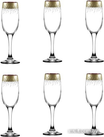 Набор бокалов для шампанского Promsiz ERAN430-519/S/Z/6