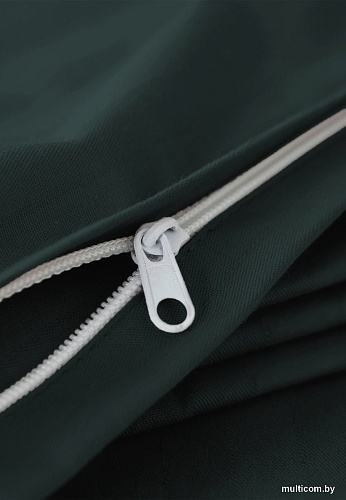 Постельное белье Verossa Stripe Dark green VRT 180/215М 70274 ST13 01