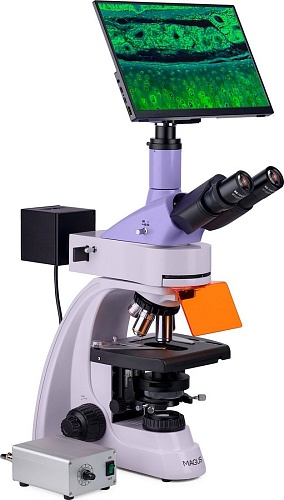 Микроскоп Magus Lum D400L LCD 83019