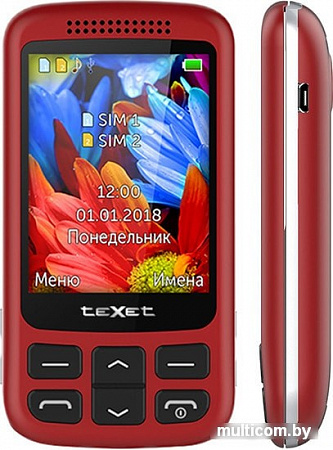 Мобильный телефон TeXet TM-501 (красный)