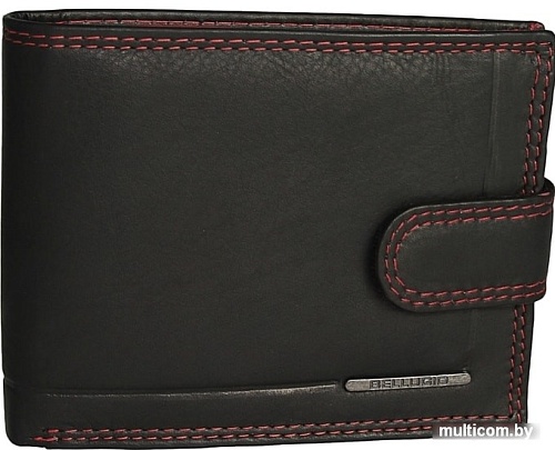 Кошелек Bellugio AM-24-032