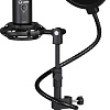 Микрофон Lorgar Voicer 721
