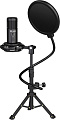Микрофон Lorgar Voicer 721