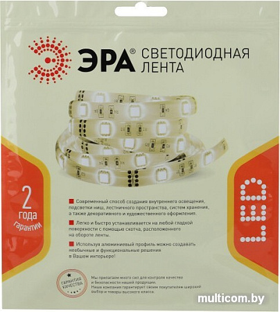 Светодиодная лента ЭРА LS2835-4,8-60-24-33-4000К-5m